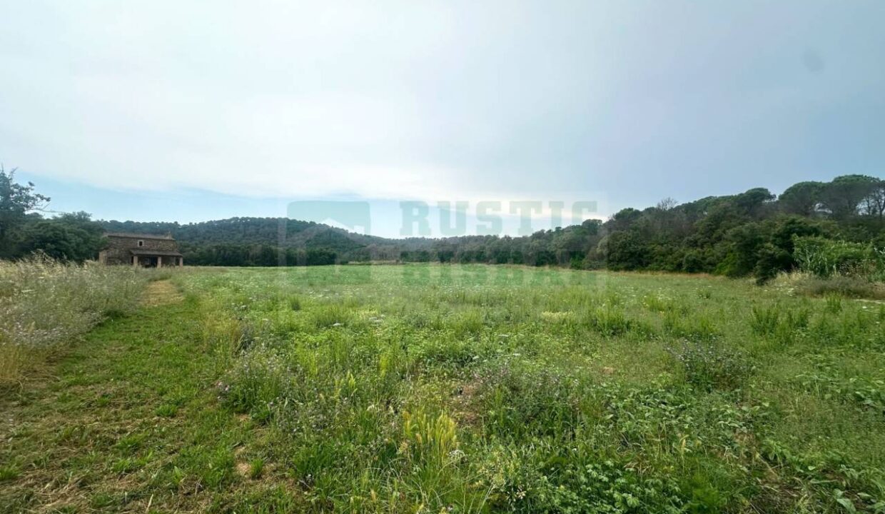 995275_55027316760_761e95e7-ed9d-4d95-8ce8-7f326e504347