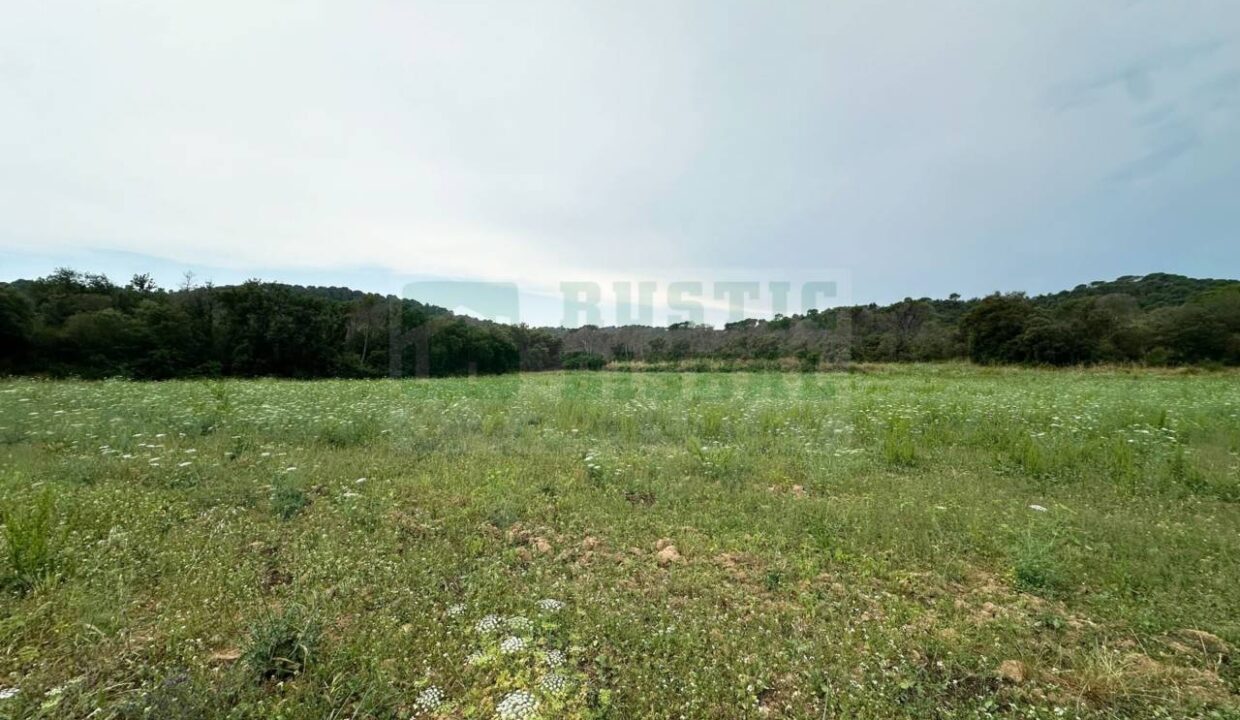 995275_55027316760_95e0aab8-a3dd-4379-8b79-2d95b6d6de8c