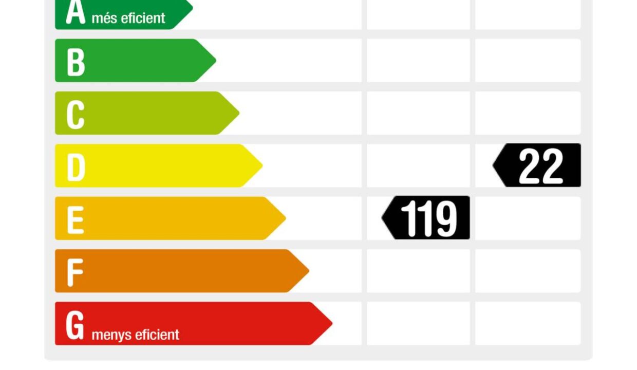 995275_58343964210_dc186d9a-fc32-448c-ab64-0a5825a63ff1