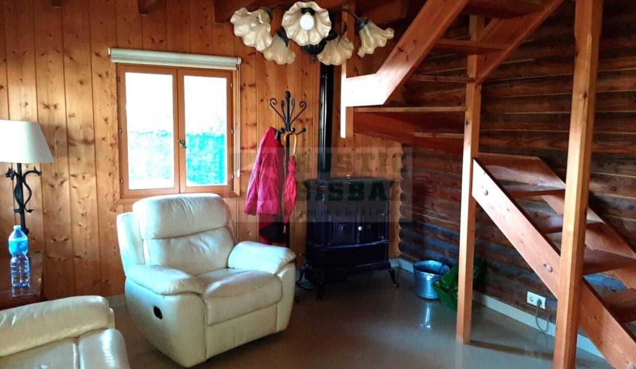 995275_58356992730_1850742d-0b39-46f2-805c-4190d4d18046