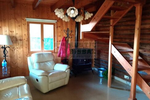 995275_58356992730_1850742d-0b39-46f2-805c-4190d4d18046