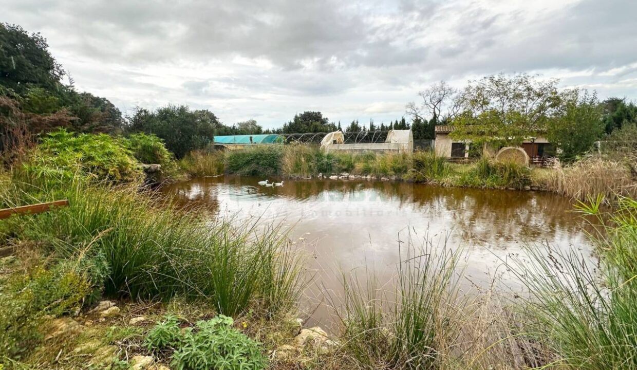 995275_58356992730_1945b956-bdce-4a71-8d7e-ab4c65d084f5