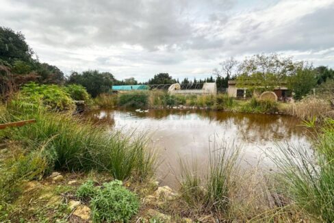 995275_58356992730_1945b956-bdce-4a71-8d7e-ab4c65d084f5