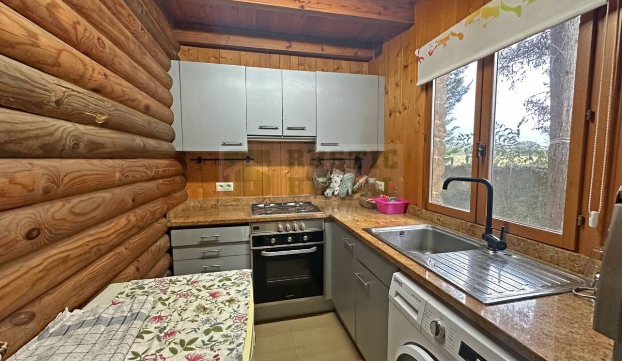 995275_58356992730_68ed0fe2-ea0f-4f85-b4d4-1ed99d2fc9e3