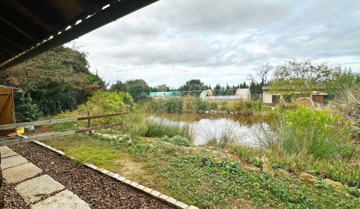 995275_58356992730_92205f3d-a9f0-43ad-8ae1-e77ef942c027