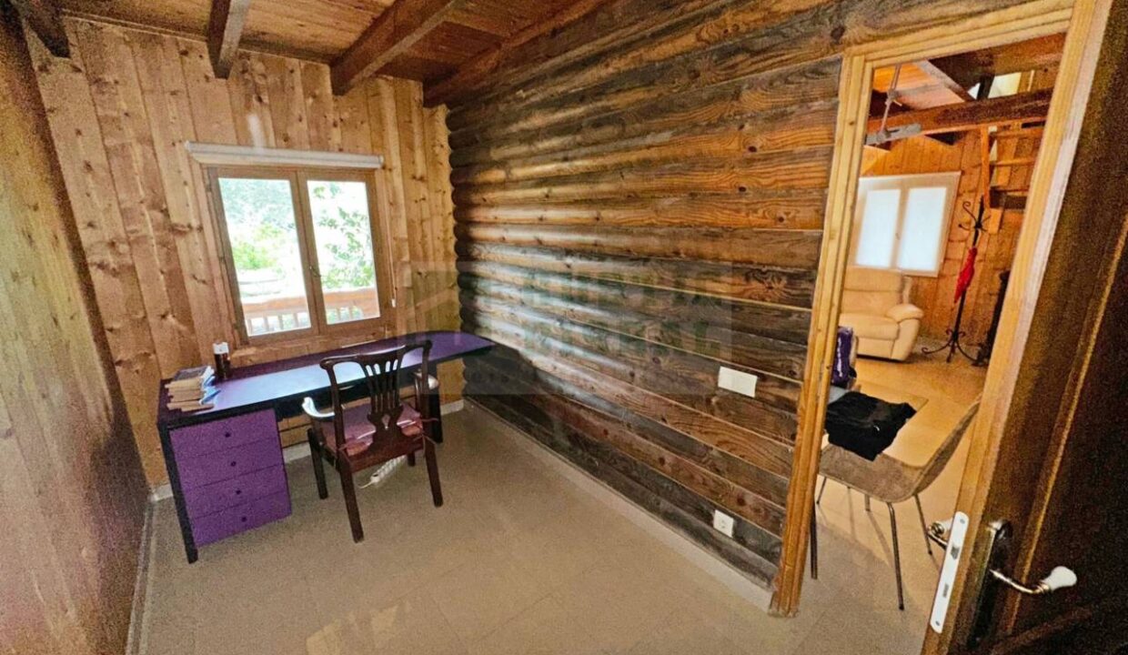 995275_58356992730_a7870f5a-33ab-47b4-a47f-82845d84288b