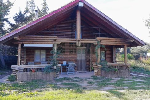 995275_58356992730_e5b9d9ae-6e0d-47f2-9cb3-86bf8220030c