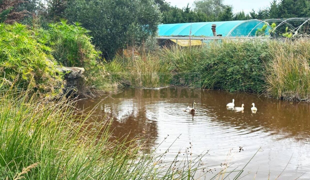 995275_58356992730_e8cd68b3-6ce8-4760-ada4-bfdafe81b56d