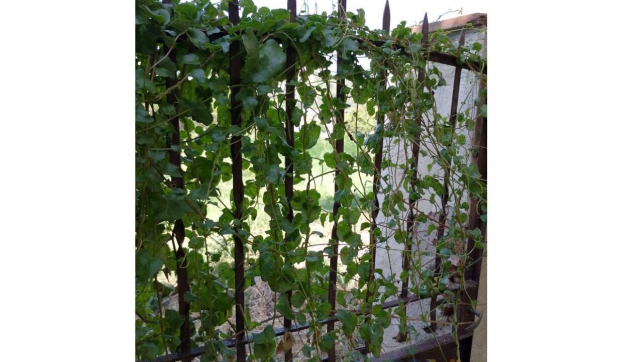 995275_58358158746_1d06b848-e597-4a4f-933e-8b22f8e159ce