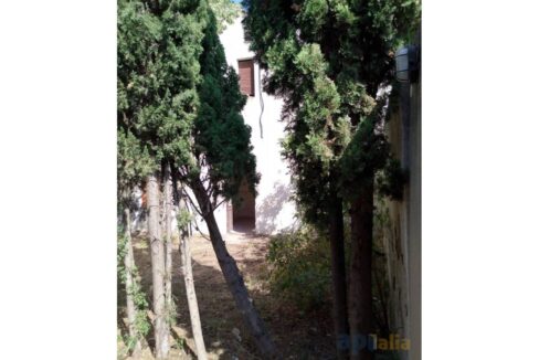 995275_58358158746_2806b856-7457-4282-a3cb-f0a7e66e9ad4