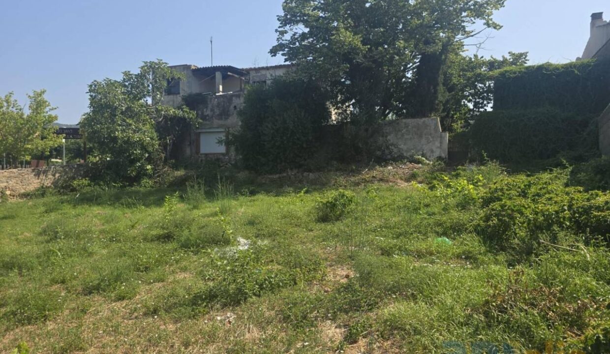 995275_58358158746_35a3ea59-4f3b-4e04-b653-61747c07a996