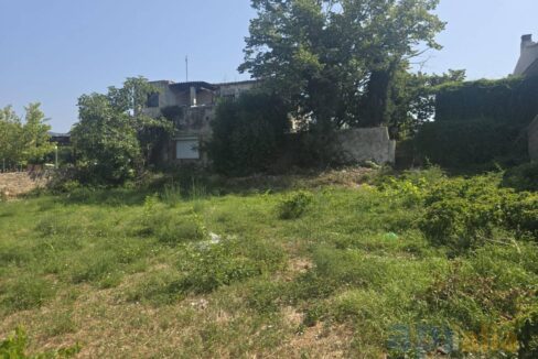 995275_58358158746_35a3ea59-4f3b-4e04-b653-61747c07a996