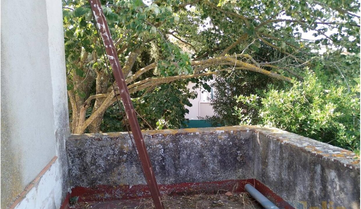 995275_58358158746_7d17941d-7d16-47e5-9c5c-16a6ed65c2e2