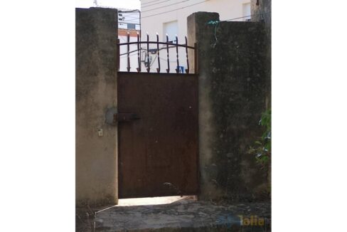 995275_58358158746_89c494e1-e4b3-4819-ac18-344153e4217d