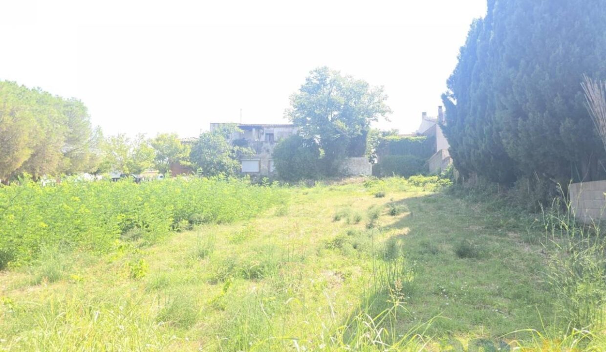 995275_58358158746_8f3efd5a-d5bc-403c-a1f7-584736cf1e61