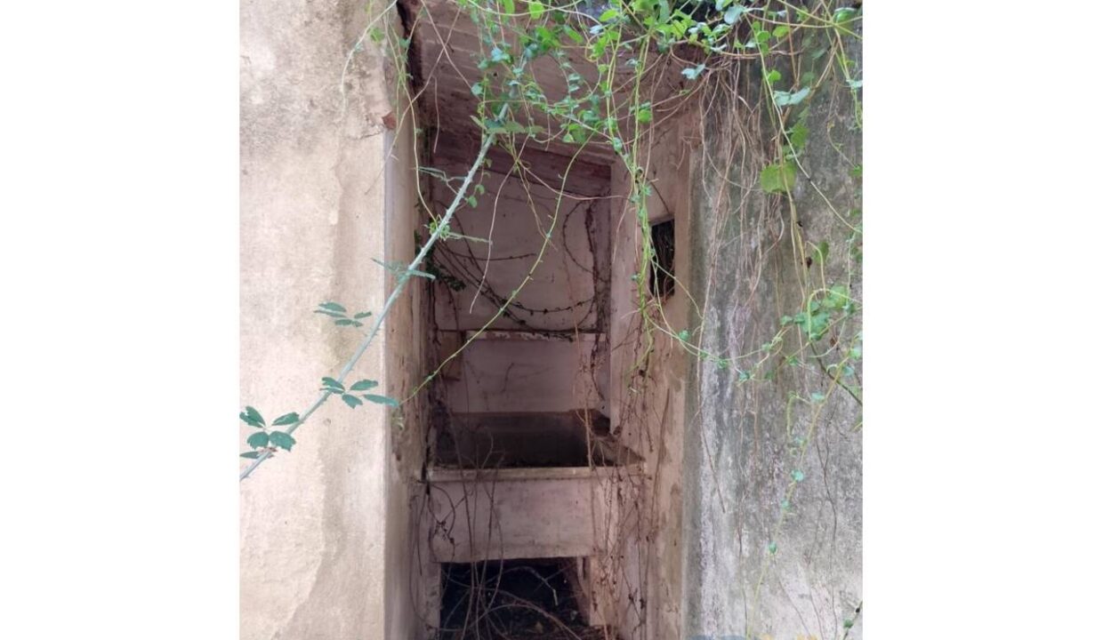 995275_58358158746_9bfc0b73-7a64-4557-9b88-97eac48a2da3