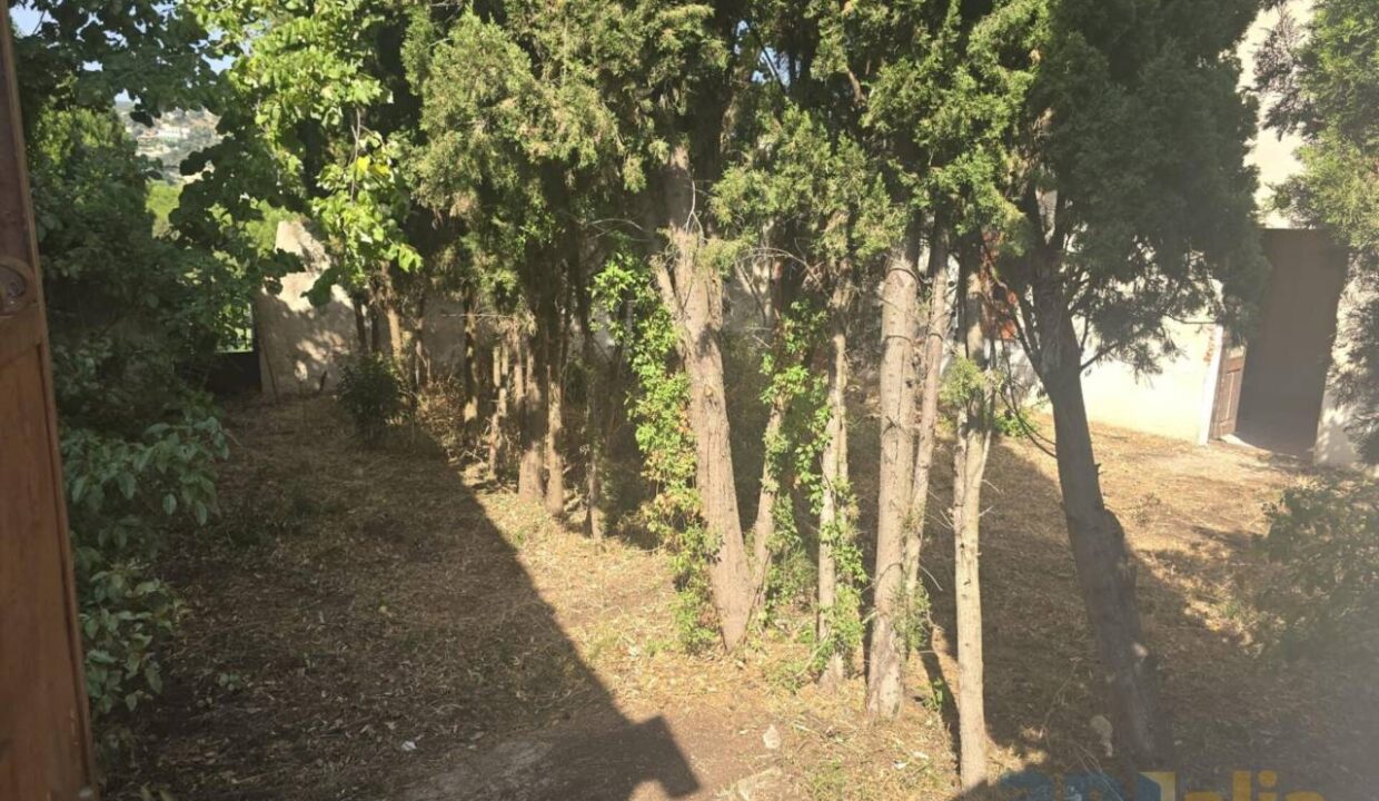 995275_58358158746_eec0e019-e3fe-4354-adbd-376220b3fad7