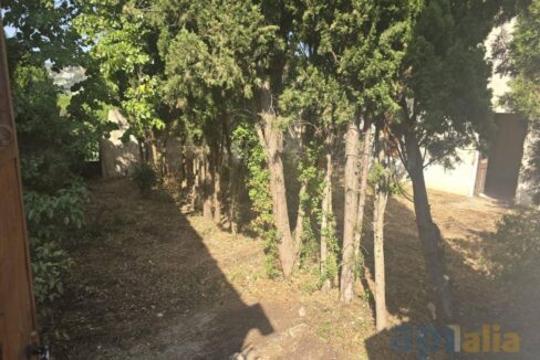 995275_58358158746_eec0e019-e3fe-4354-adbd-376220b3fad7