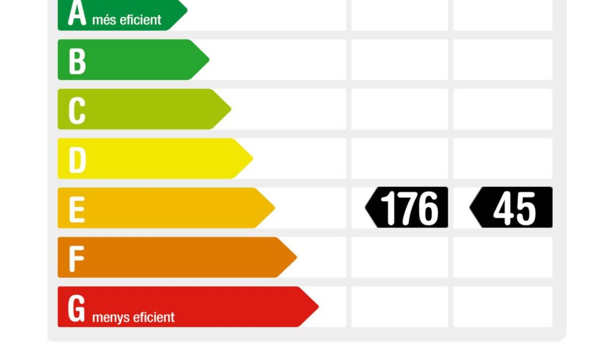 995275_58411540343_a921c569-8759-4f66-bc39-e49cb6c88ba0