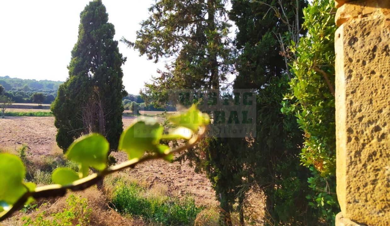 995275_58433080300_23cf2723-7b9a-488e-81fd-36dfb6279b0b