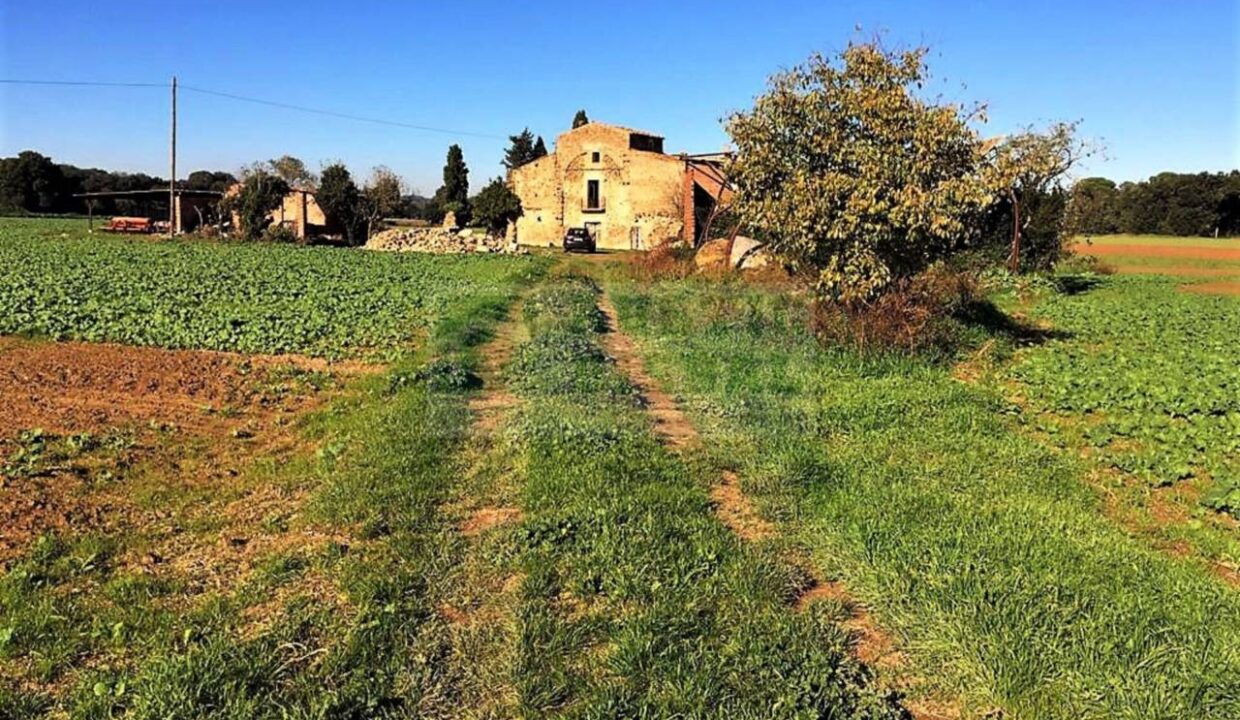 995275_58433080300_30114617-b682-47d6-a3e2-68a607fd170f