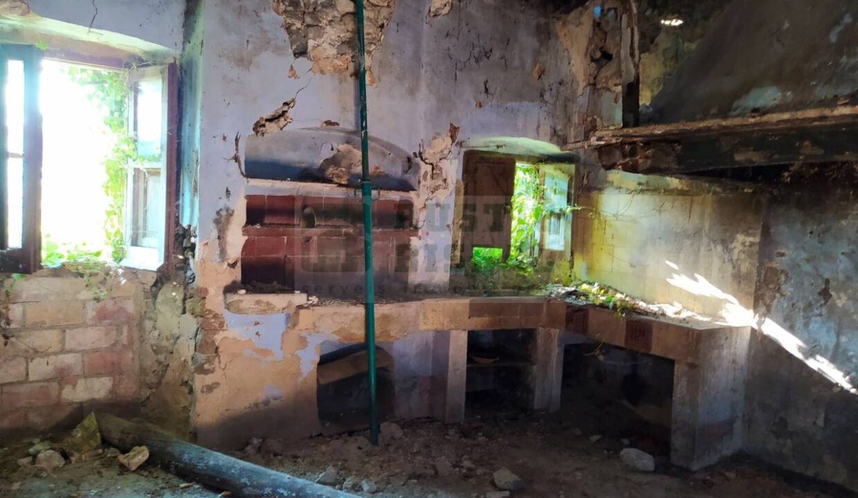 995275_58433080300_51645223-b7a3-417b-90a8-a4236936795f