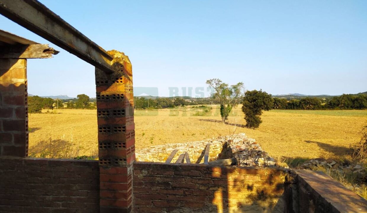 995275_58433080300_7b5592e3-d38f-4b49-8871-3de791fec52a