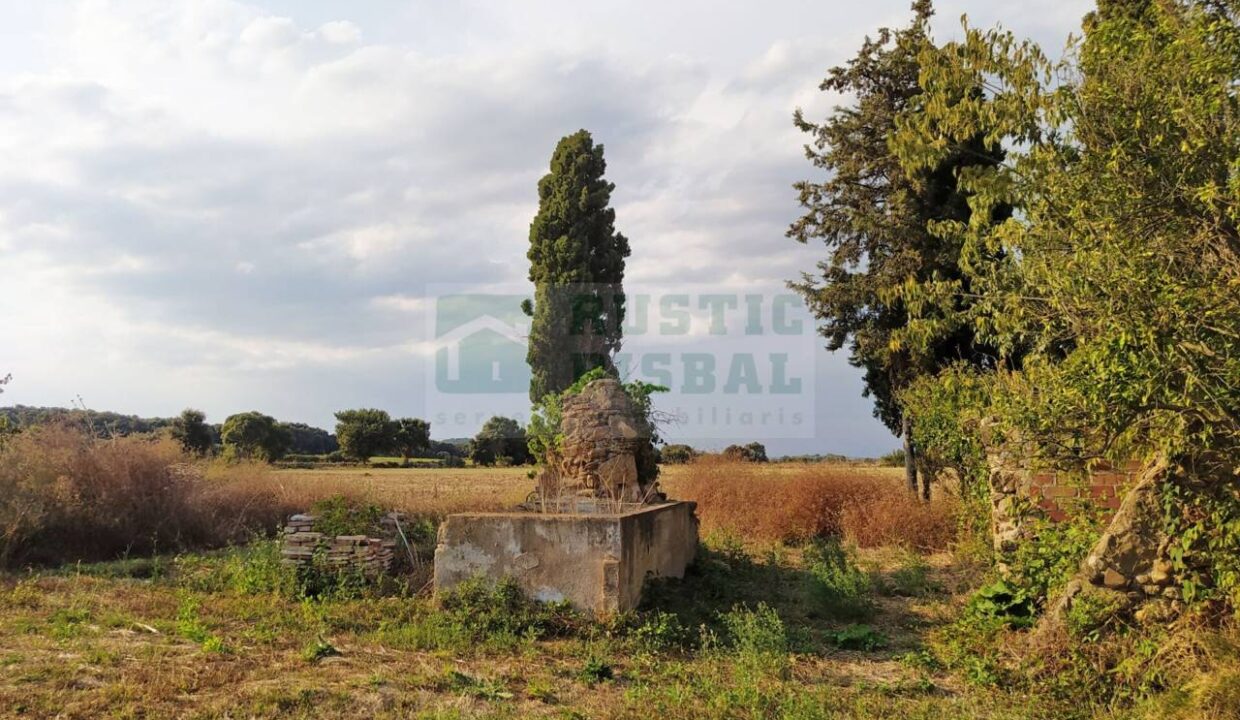 995275_58433080300_87d4a833-7a20-40fa-9743-b692adca0827