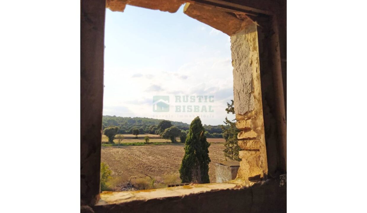 995275_58433080300_a0957e62-2585-4e98-96e0-7669393a30dc