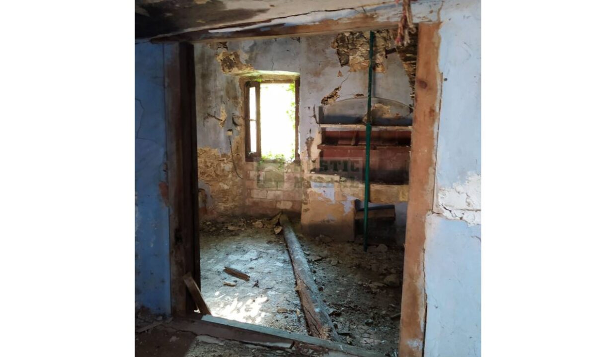 995275_58433080300_b018fadc-96f3-4983-9e4e-3ac56d1c3145