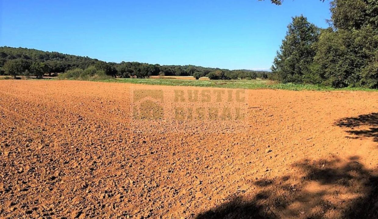 995275_58433080300_c095b6e4-4e96-47a8-ab77-77cc9e6a2995