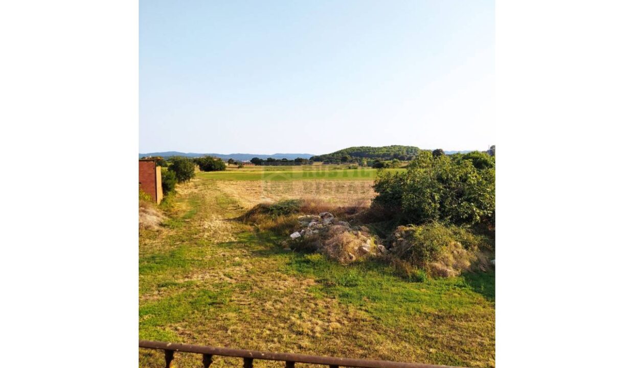 995275_58433080300_f432569d-d947-4188-a147-3b6043fd6b7d