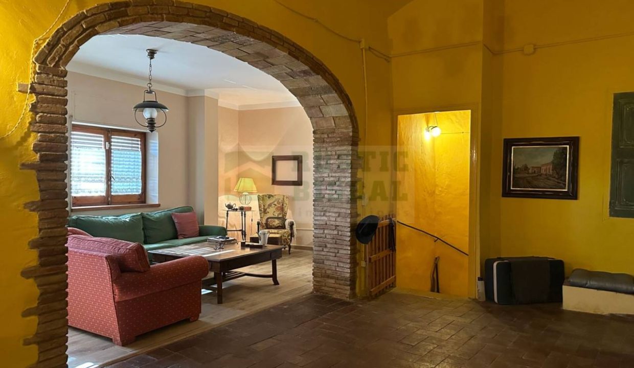 995275_56682536994_1affc358-99fc-41a3-a992-2e0ff7077ae1