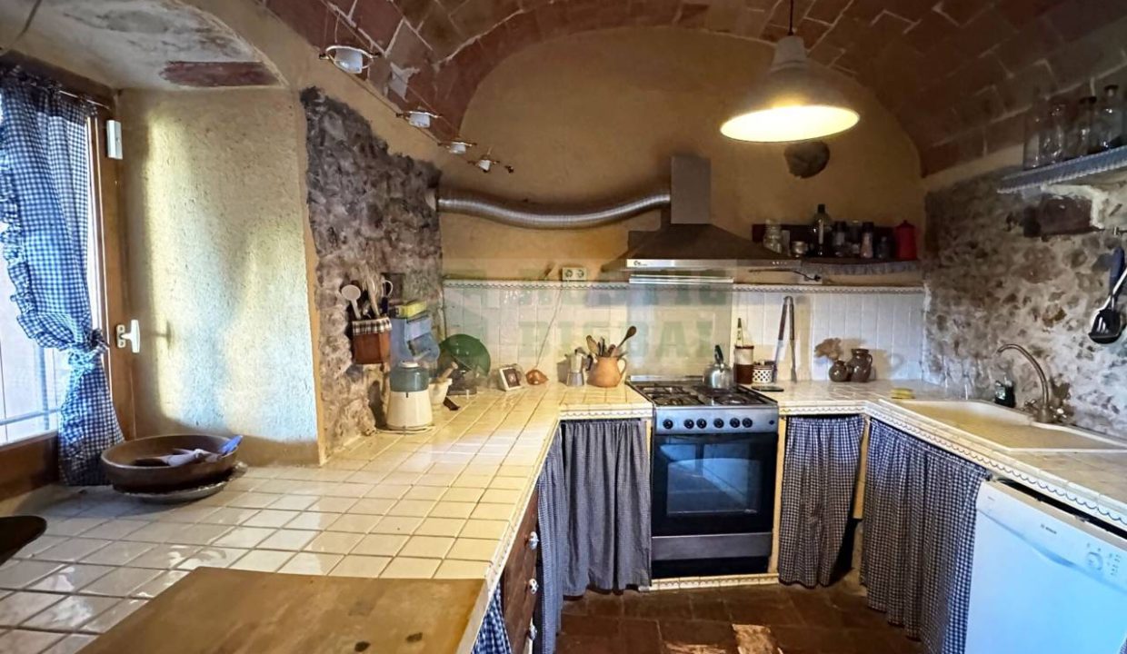 995275_56682536994_bd4dabf8-fbe0-4862-94e2-e58ab83cc6c6