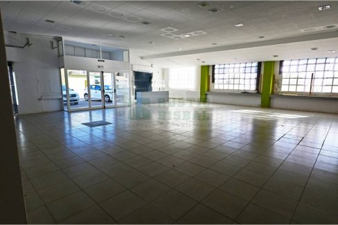 995275_59177069846_b9c2aae4-172e-4182-a61b-ba6d9207b702