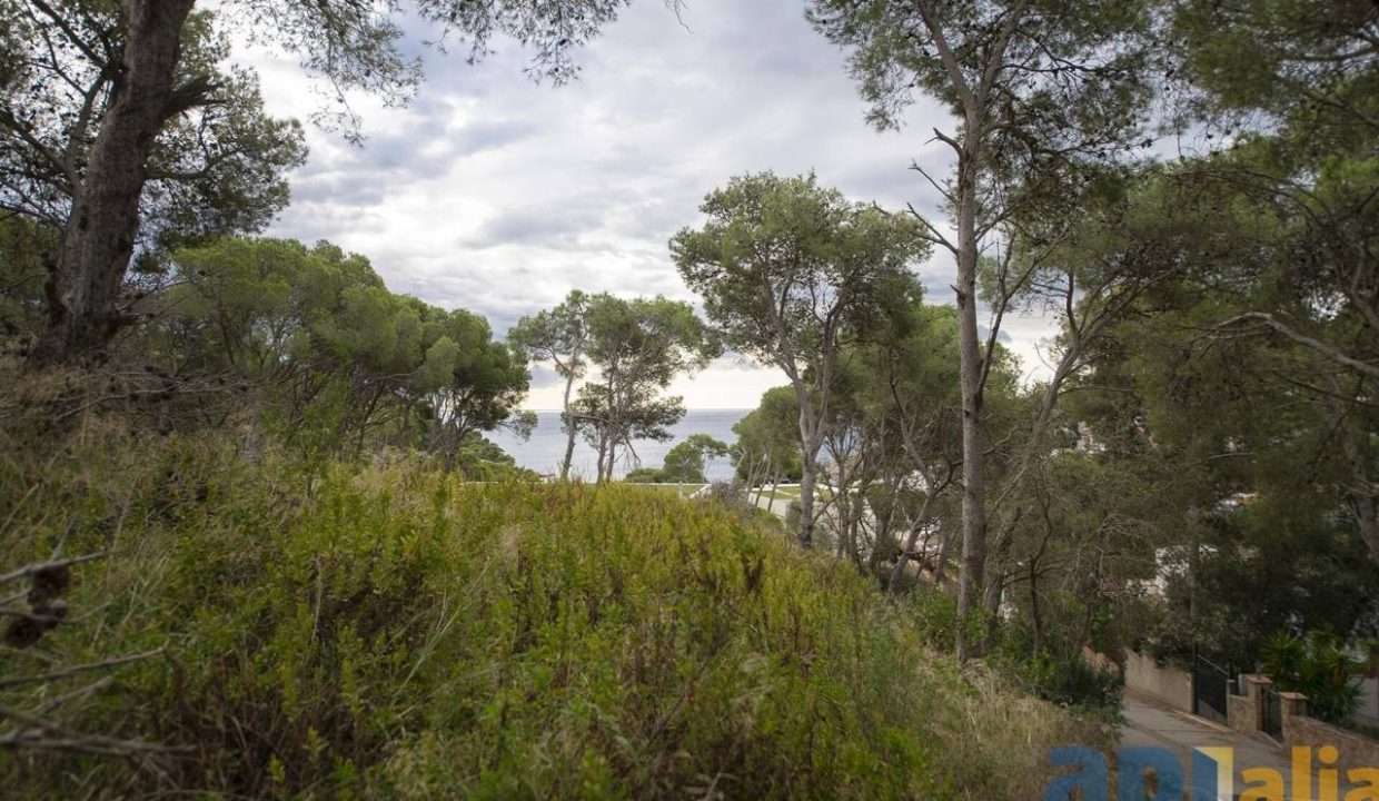 995275_59181158128_eb03aff9-e317-42f4-a6a5-fa57f14f809b