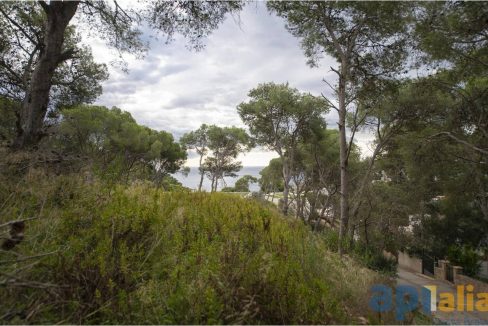 995275_59181158128_eb03aff9-e317-42f4-a6a5-fa57f14f809b