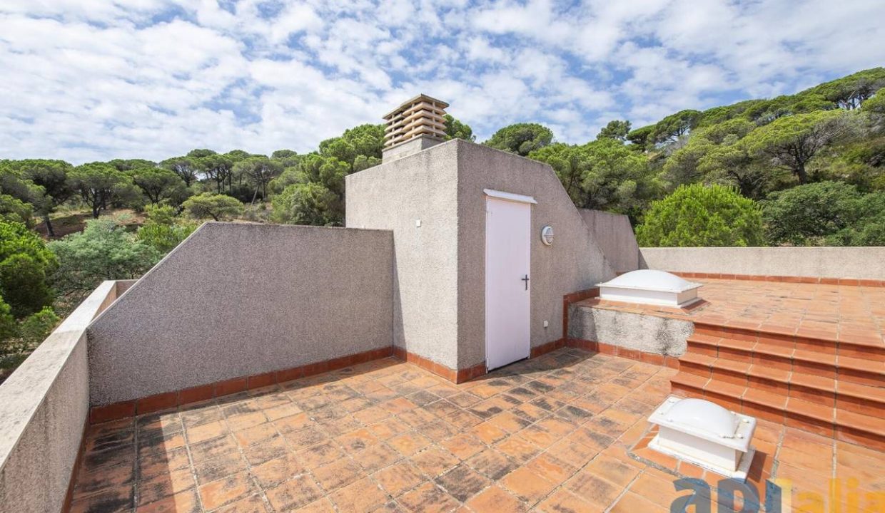 995275_59262966247_b3279dc5-a4ed-4aa9-9a88-4b2c9e5b15b5