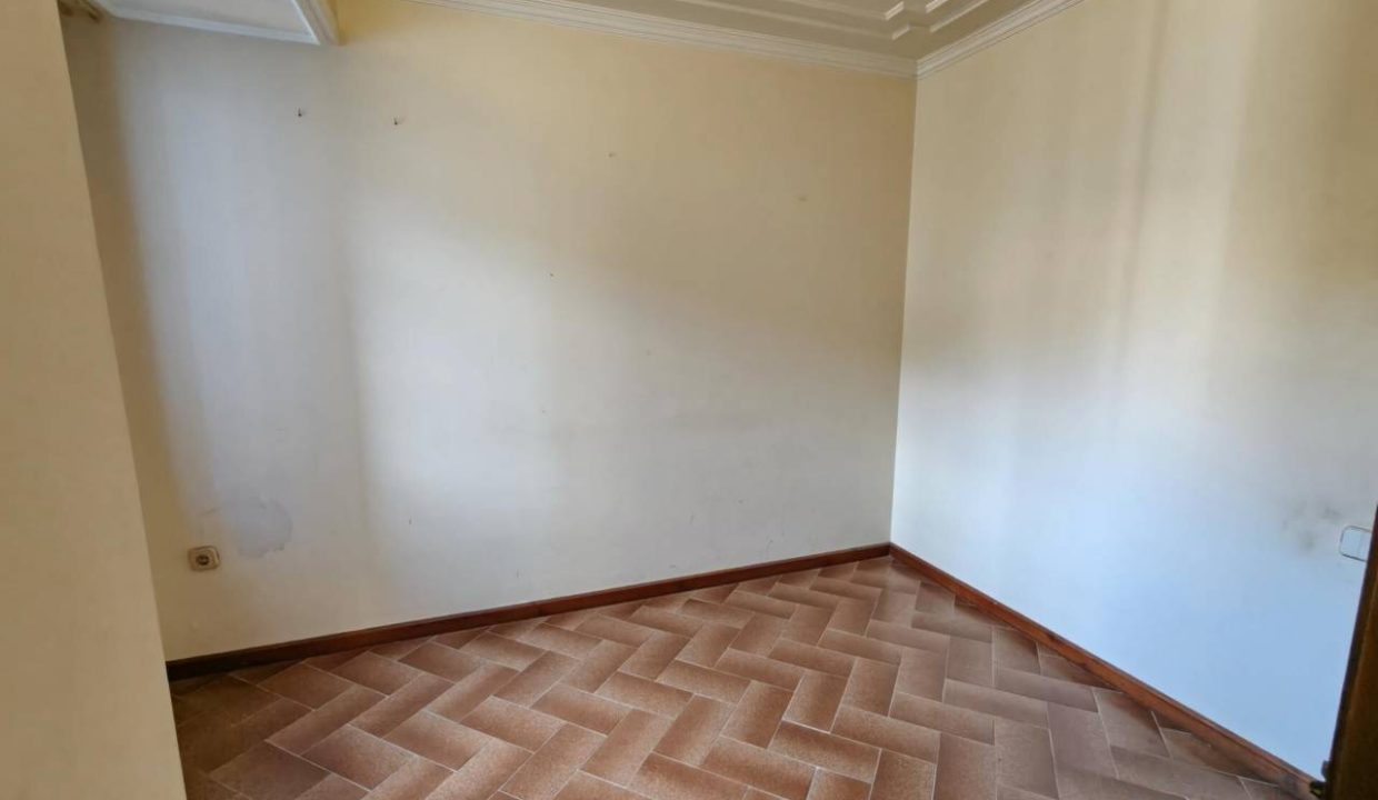 995275_60006648933_cc59a9cc-9de7-40bd-b41b-31ef94f82b4e