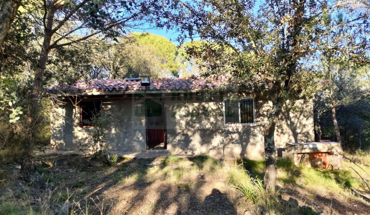 995275_60035654977_3caea841-e64f-4fb7-8c01-024fb8dc8cc6