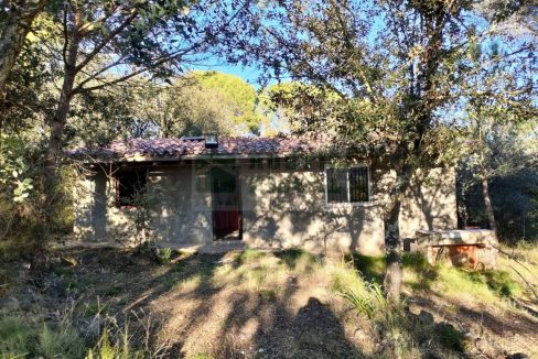 995275_60035654977_3caea841-e64f-4fb7-8c01-024fb8dc8cc6