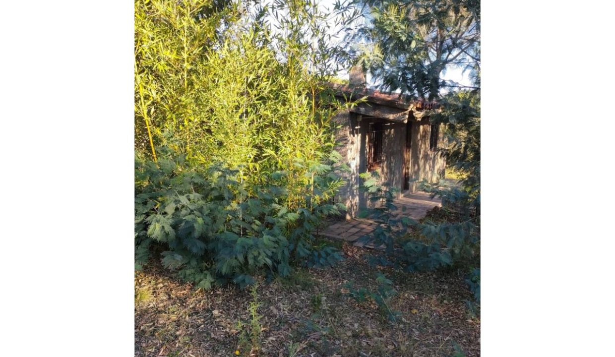 995275_60035654977_de1a89ea-45c9-4585-9d4e-6f8a0c6a14db