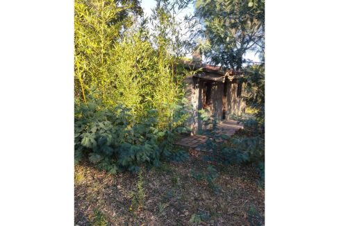 995275_60035654977_de1a89ea-45c9-4585-9d4e-6f8a0c6a14db