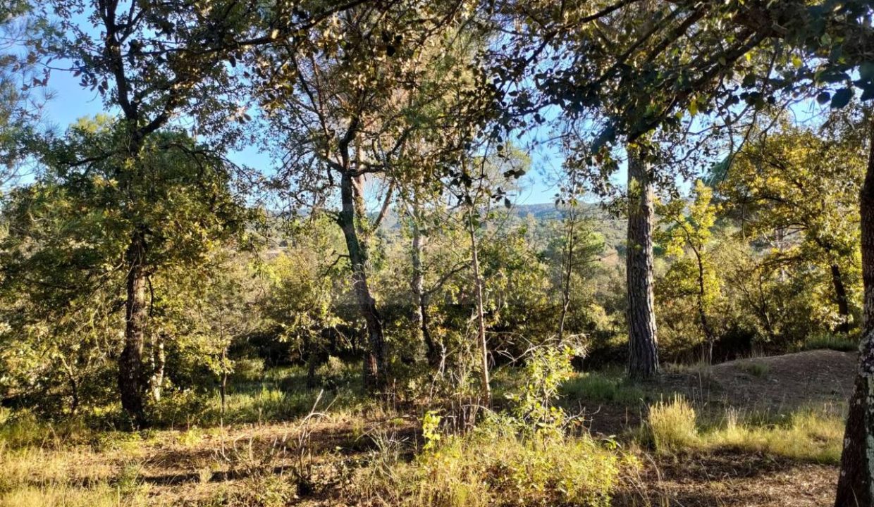 995275_60035654977_f28d1a5e-de12-412b-bc26-80328cdab127