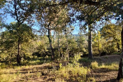 995275_60035654977_f28d1a5e-de12-412b-bc26-80328cdab127