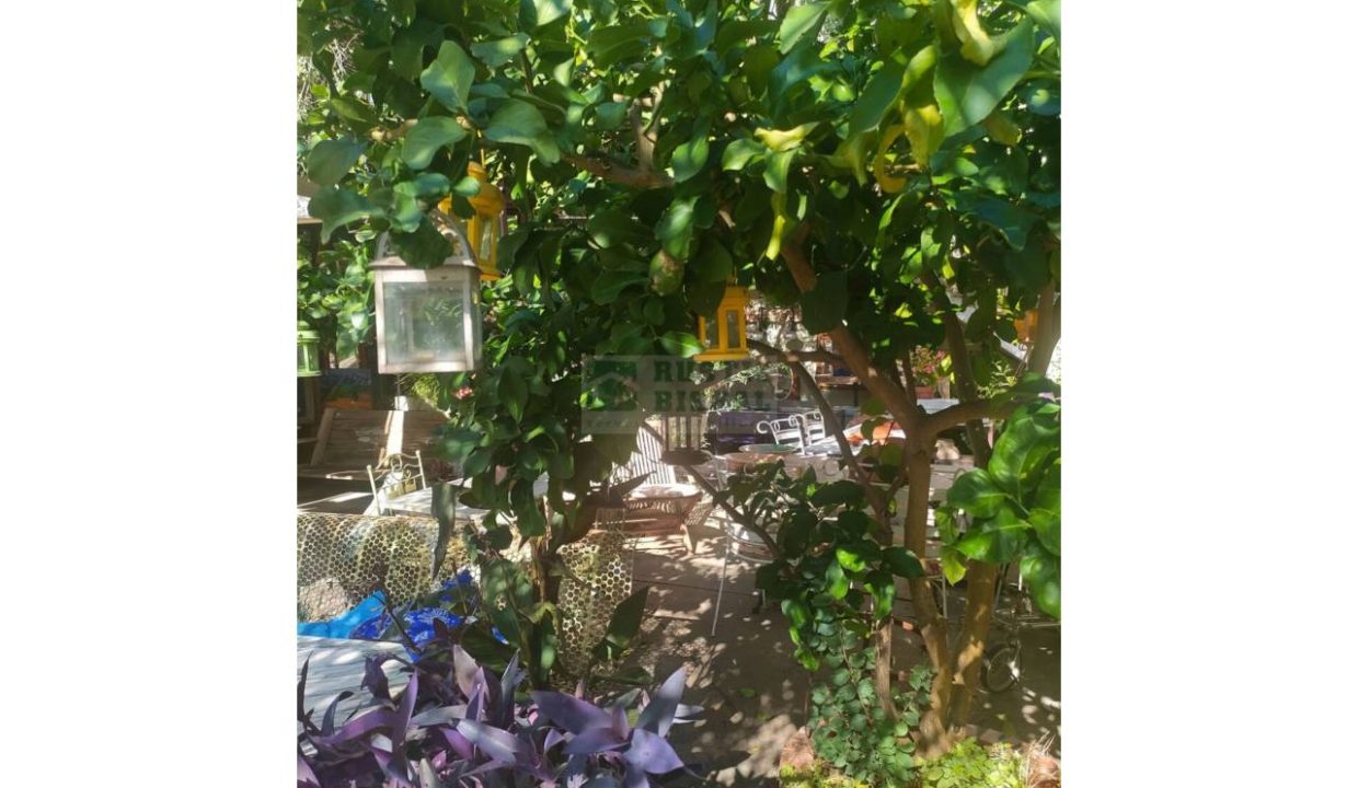 995275_60059917264_64300137-8709-4dcc-a18c-f3cc8f928a16