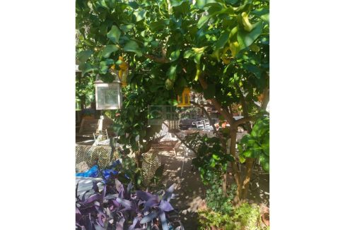 995275_60059917264_64300137-8709-4dcc-a18c-f3cc8f928a16