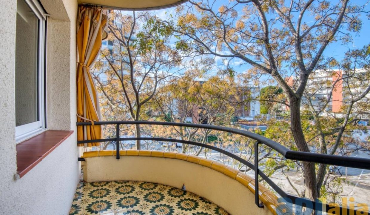 995275_60062935500_12f3aaff-d841-45e6-a220-5b9cba7fb9cc