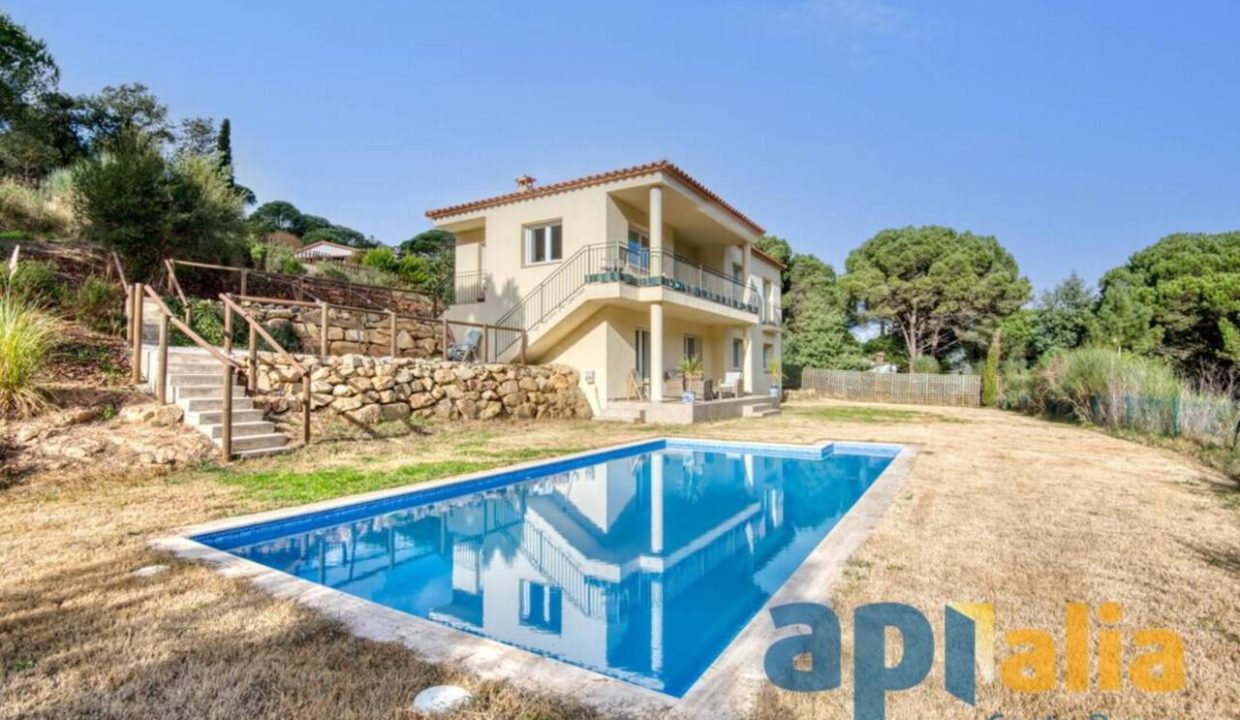 995275_60063161982_ddcbcef4-e085-48e1-930c-81153dfd4b2f