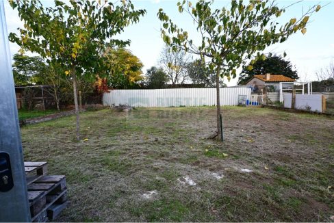 995275_60068399719_8cc9b720-2b80-4735-bce8-0aa9b913171c